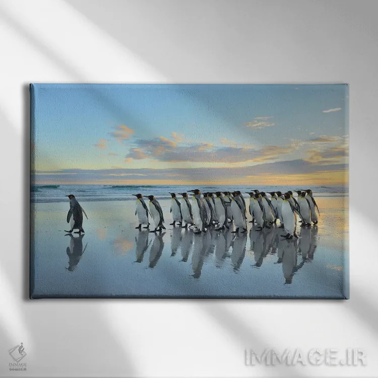 تابلو مرا دنبال کن اثر المر وایس - نمای روبهرو روی دیوار