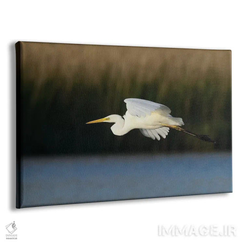 تابلو مرغ ماهیخوار بزرگ اثر المر وایس - نمای پرسپکتیو محصول