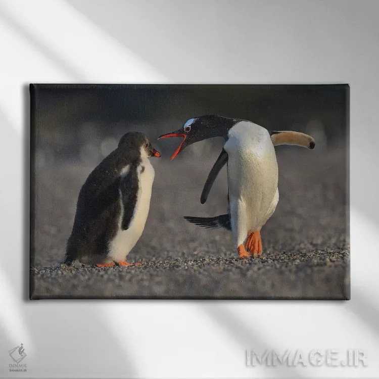 تابلو جوجهٔ بد! اثر المر وایس - نمای روبهرو روی دیوار