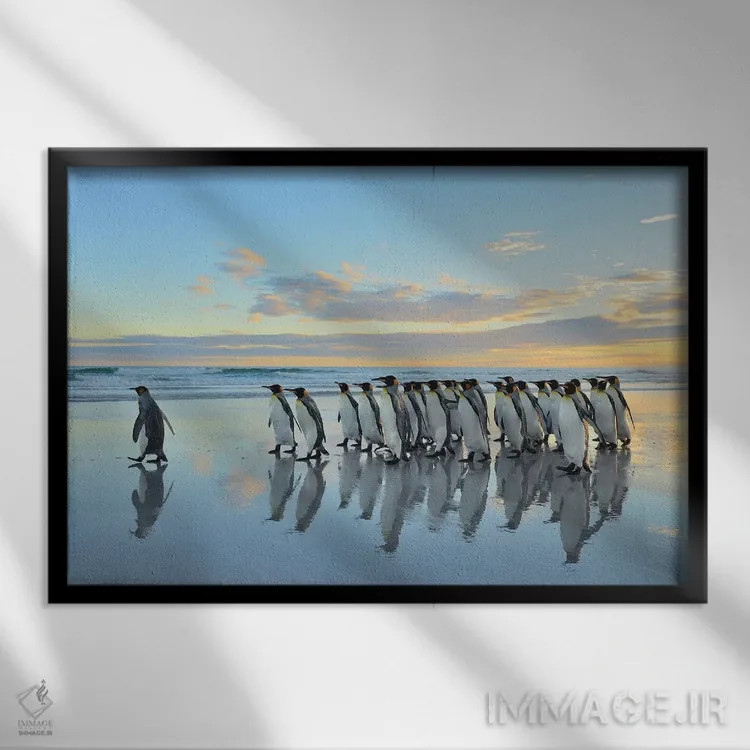 تابلو مرا دنبال کن اثر المر وایس - نمای قابدار مشکی