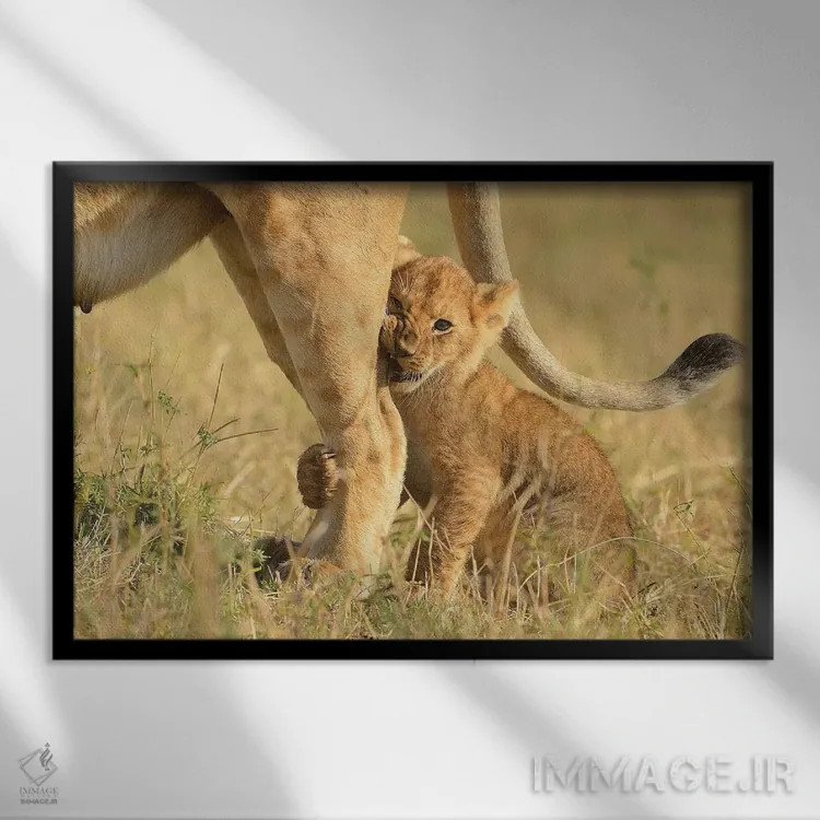 تابلو اولین شکار اثر المر وایس - نمای قابدار مشکی