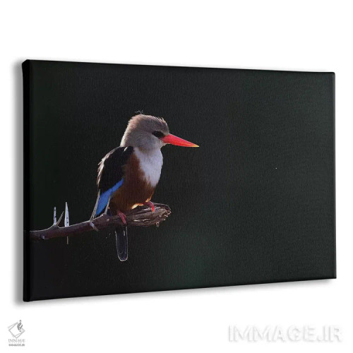 تابلو مرغ ماهیخوار سرخاکستری در پشتنور اثر المر وایس - نمای پرسپکتیو محصول