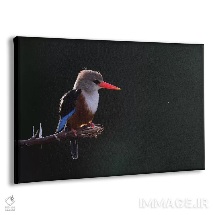 تابلو مرغ ماهیخوار سرخاکستری در پشتنور اثر المر وایس - نمای پرسپکتیو محصول