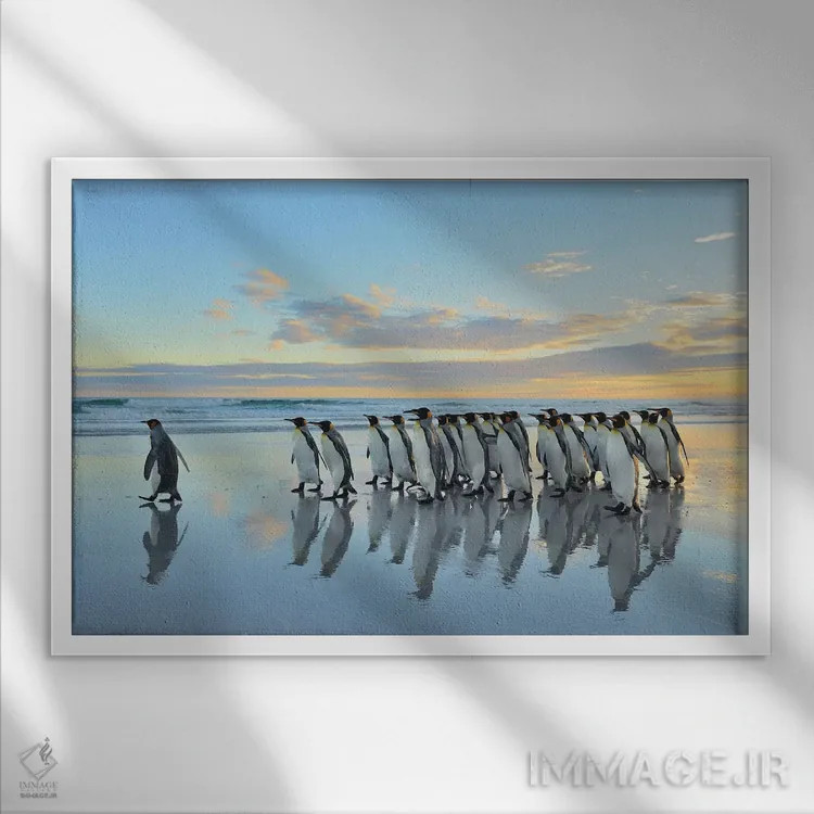 تابلو مرا دنبال کن اثر المر وایس - نمای قابدار سفید