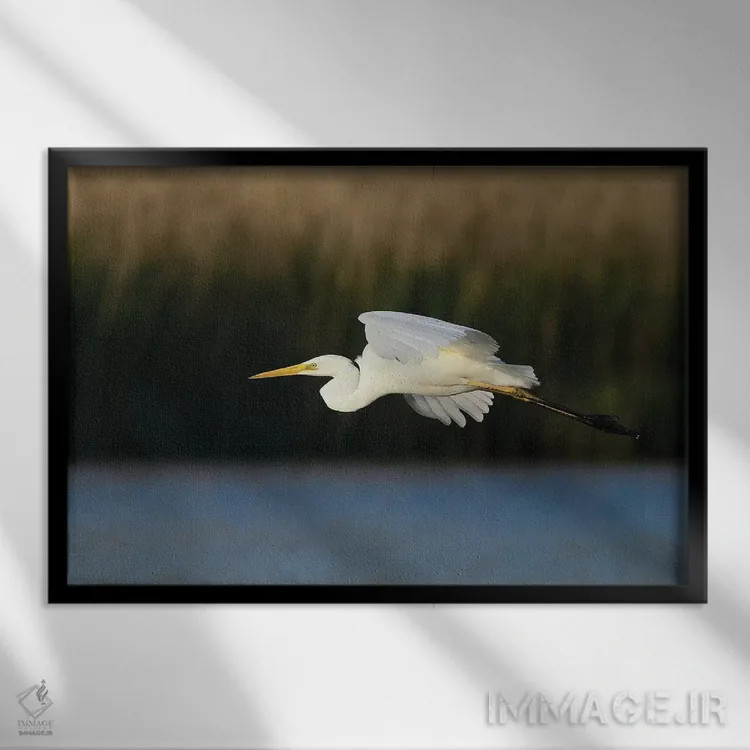 تابلو مرغ ماهیخوار بزرگ اثر المر وایس - نمای قابدار مشکی