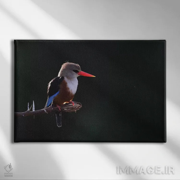 تابلو مرغ ماهیخوار سرخاکستری در پشتنور اثر المر وایس - نمای روبهرو روی دیوار