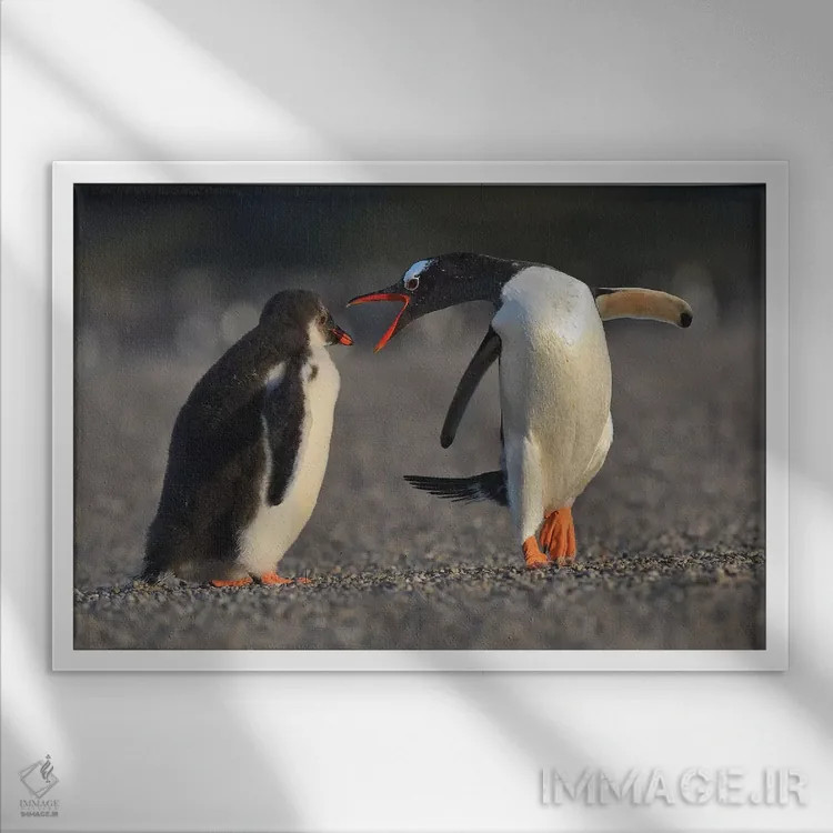 تابلو جوجهٔ بد! اثر المر وایس - نمای قابدار سفید