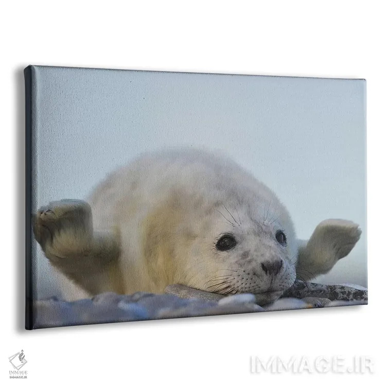 تابلو سلام! اثر المر وایس - نمای پرسپکتیو محصول