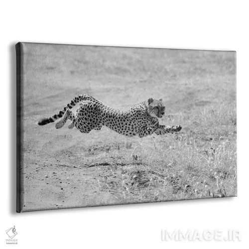 تابلو حالت شکار اثر المر وایس - نمای پرسپکتیو محصول