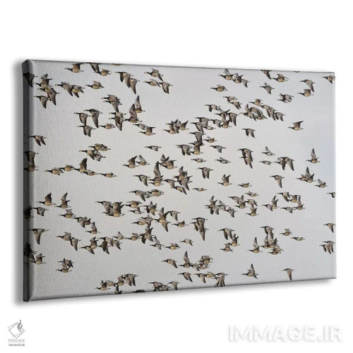 تابلو غازهای برنیکل اثر المر وایس - نمای پرسپکتیو محصول