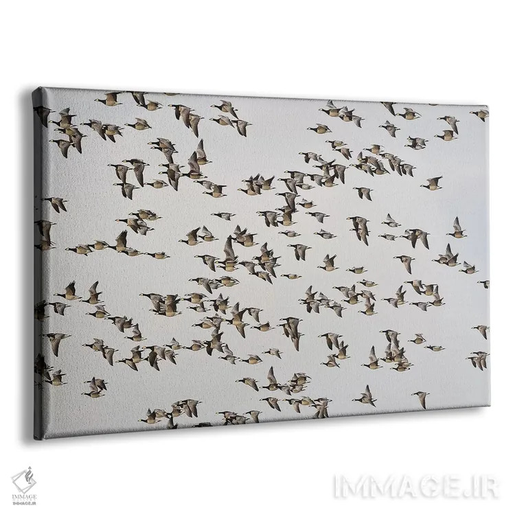 تابلو غازهای برنیکل اثر المر وایس - نمای پرسپکتیو محصول