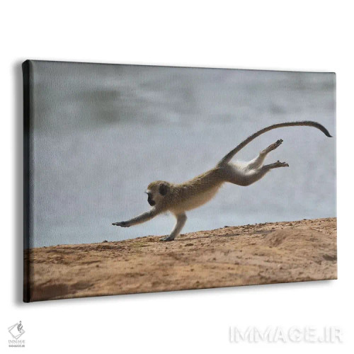 تابلو عجله اثر المر وایس - نمای پرسپکتیو محصول