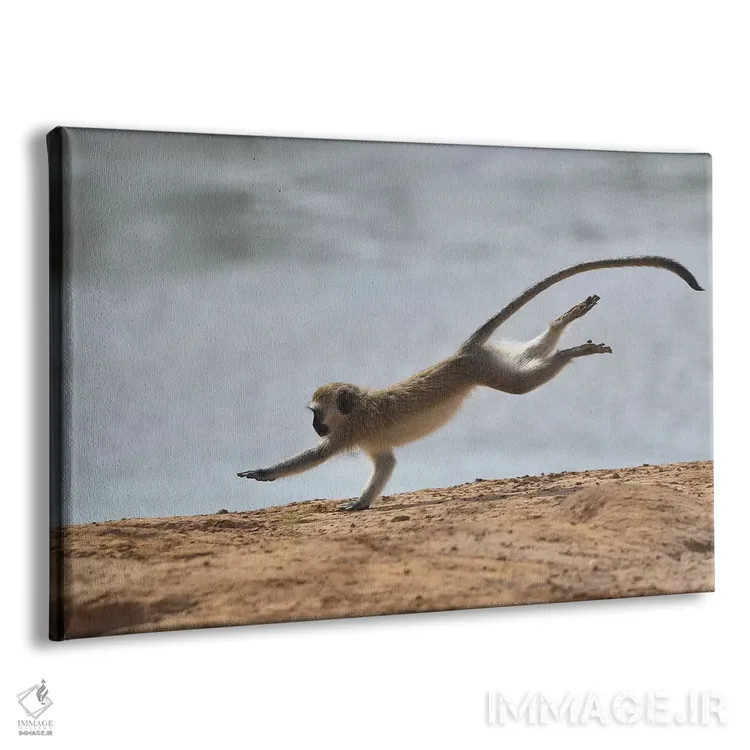 تابلو عجله اثر المر وایس - نمای پرسپکتیو محصول