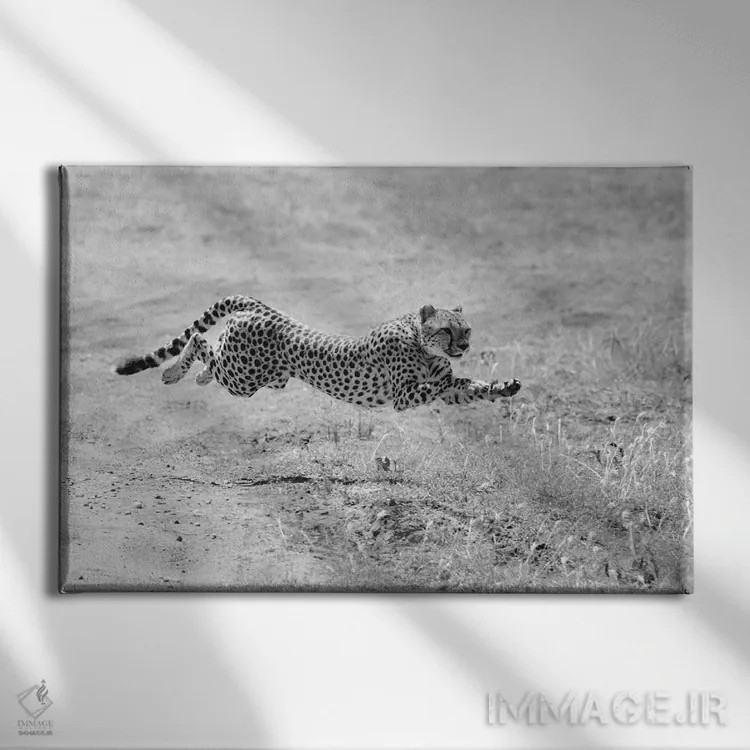 تابلو حالت شکار اثر المر وایس - نمای روبهرو روی دیوار