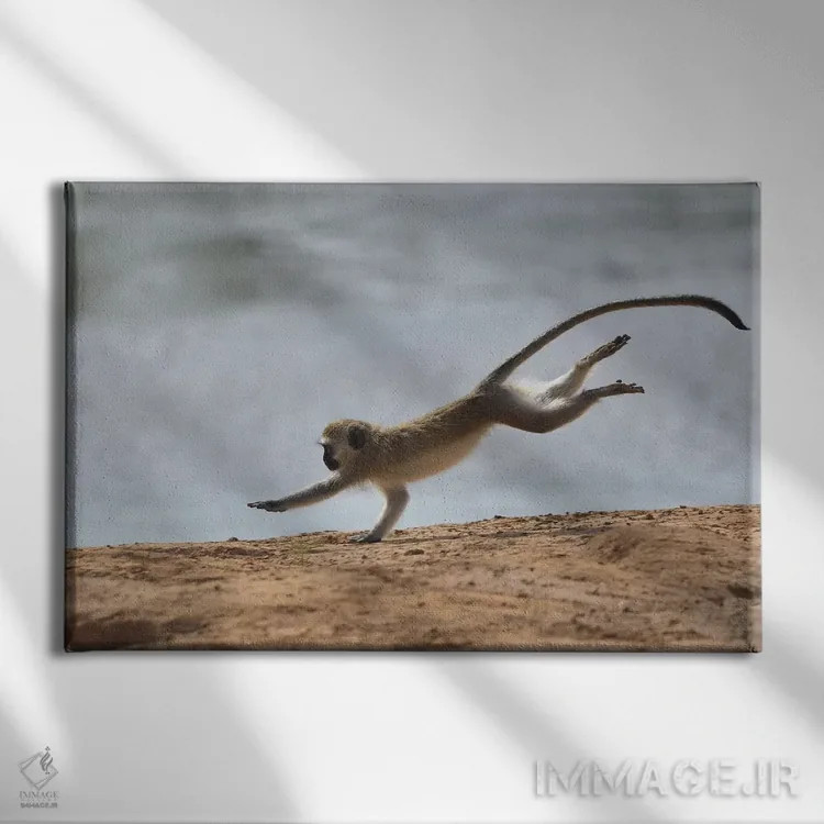 تابلو عجله اثر المر وایس - نمای روبهرو روی دیوار