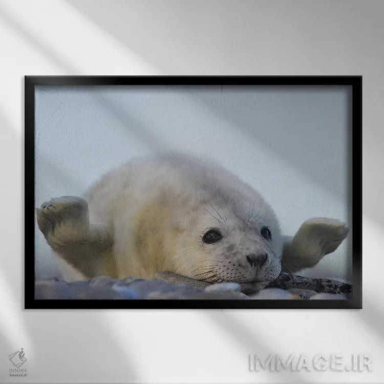 تابلو سلام! اثر المر وایس - نمای قابدار مشکی