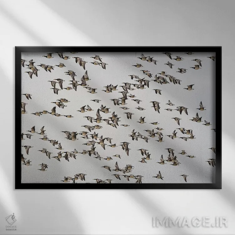 تابلو غازهای برنیکل اثر المر وایس - نمای قابدار مشکی