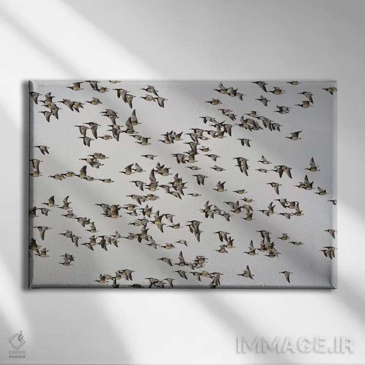 تابلو غازهای برنیکل اثر المر وایس - نمای روبهرو روی دیوار