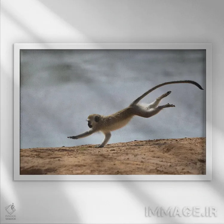 تابلو عجله اثر المر وایس - نمای قابدار سفید