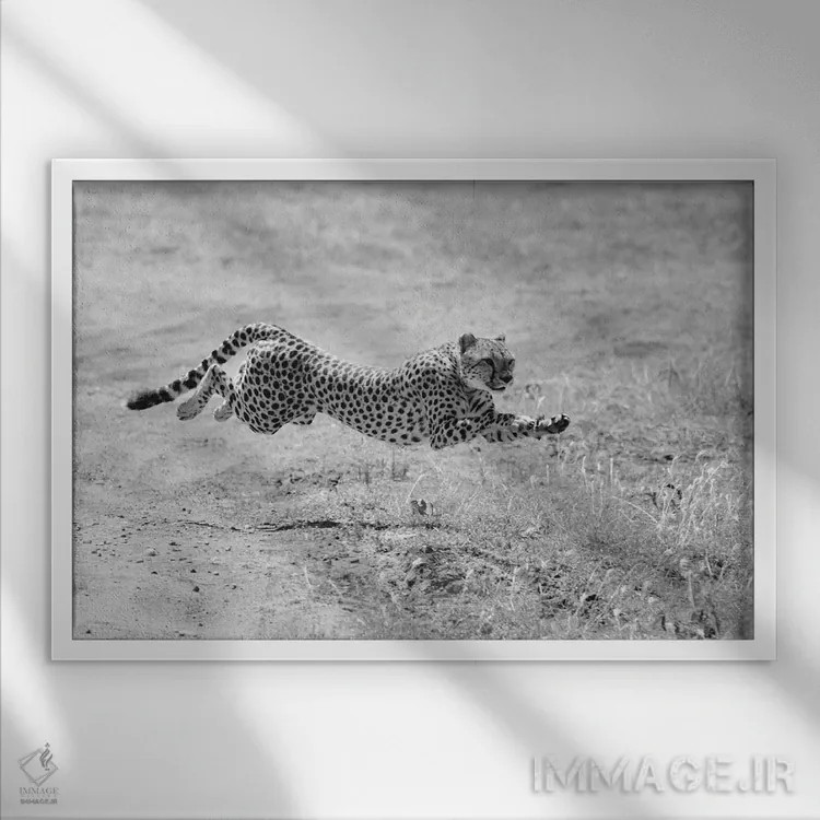 تابلو حالت شکار اثر المر وایس - نمای قابدار سفید