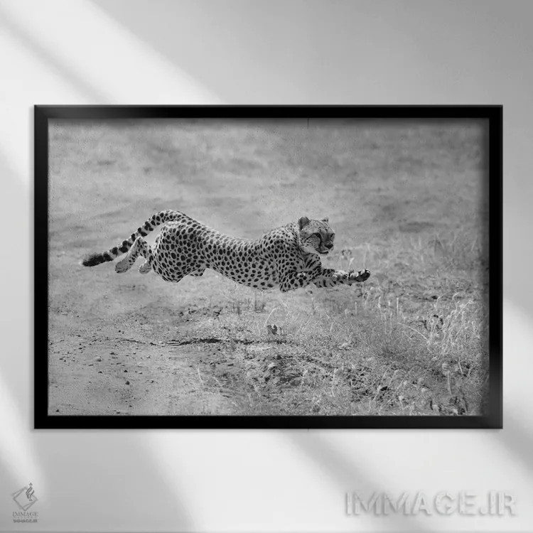 تابلو حالت شکار اثر المر وایس - نمای قابدار مشکی