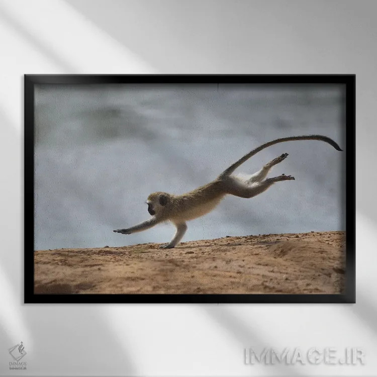 تابلو عجله اثر المر وایس - نمای قابدار مشکی