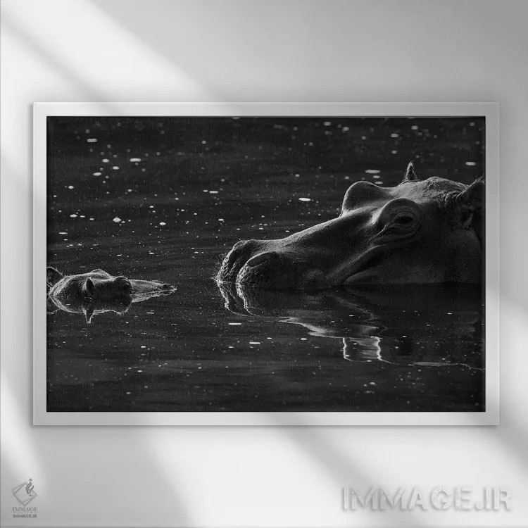 تابلو اسب آبی با بچهاش اثر المر وایس - نمای قابدار سفید