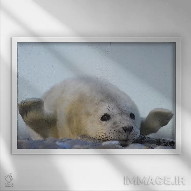 تابلو سلام! اثر المر وایس - نمای قابدار سفید