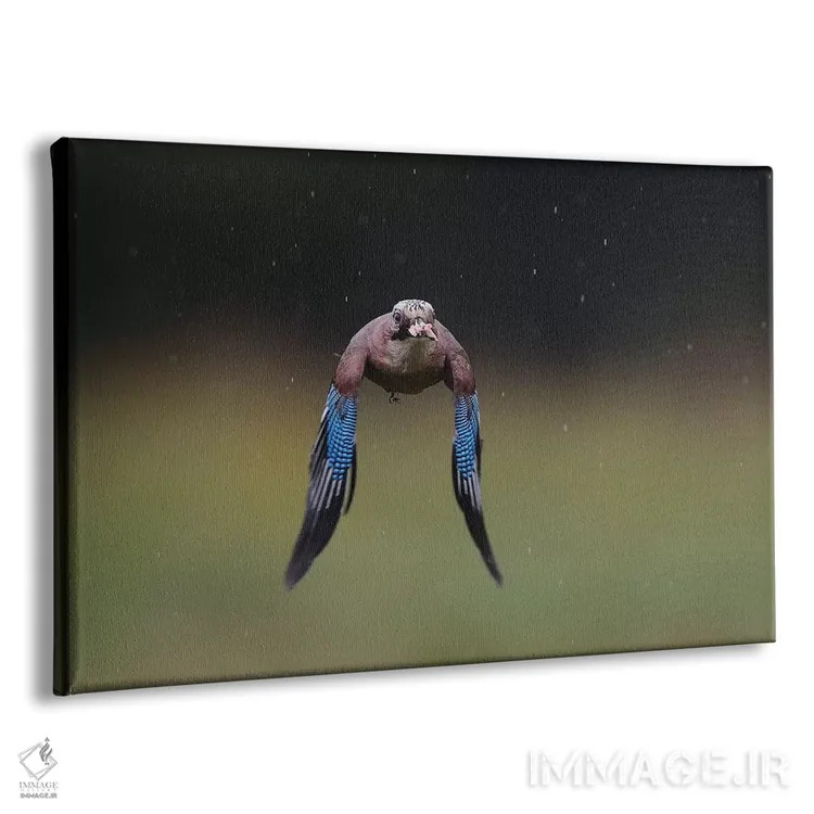 تابلو زاغی (پرنده) اثر المر وایس - نمای پرسپکتیو محصول