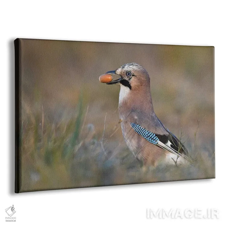 تابلو زاغی با فندق بلوط اثر المر وایس - نمای پرسپکتیو محصول