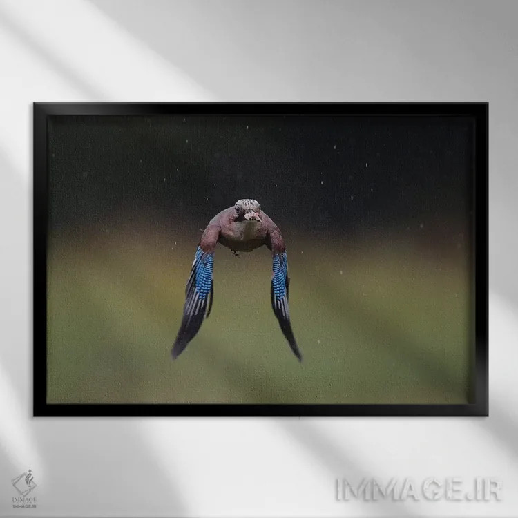 تابلو زاغی (پرنده) اثر المر وایس - نمای قابدار مشکی