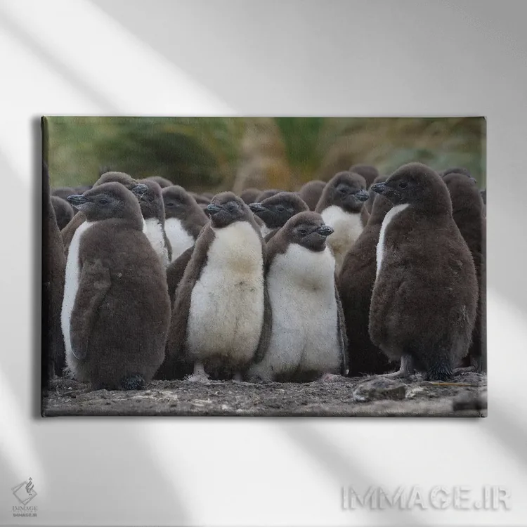 تابلو مهدکودک اثر المر وایس - نمای روبهرو روی دیوار