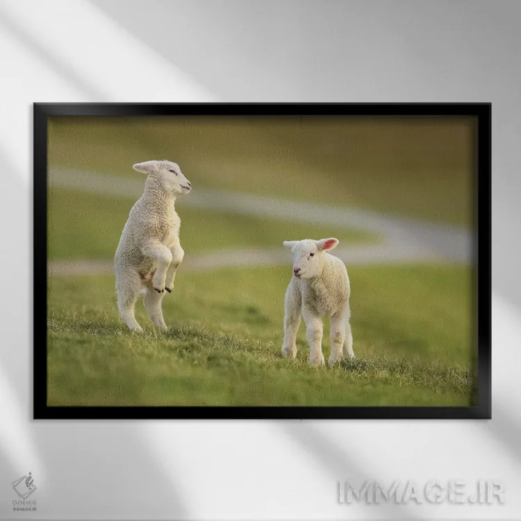 تابلو برهٔ در حال جهش اثر المر وایس - نمای قابدار مشکی