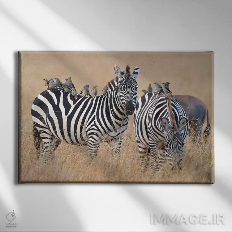 تابلو باند فرود اثر المر وایس - نمای روبهرو روی دیوار