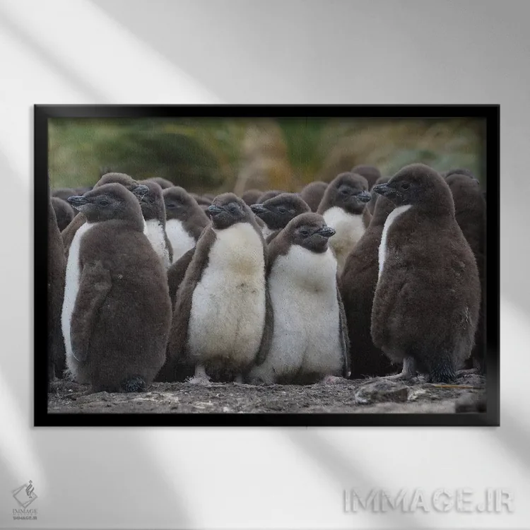 تابلو مهدکودک اثر المر وایس - نمای قابدار مشکی