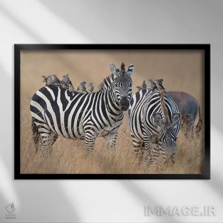 تابلو باند فرود اثر المر وایس - نمای قابدار مشکی