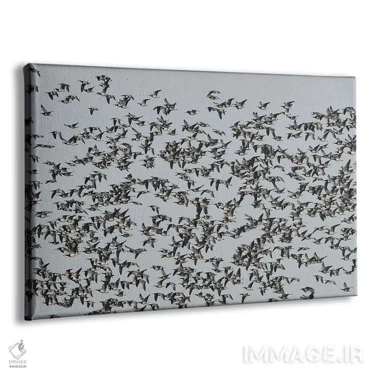 تابلو غازهای برنیکل مهاجر اثر المر وایس - نمای پرسپکتیو محصول