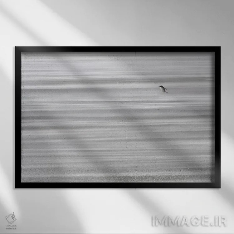 تابلو راه دور تا خانه اثر المر وایس - نمای قابدار مشکی