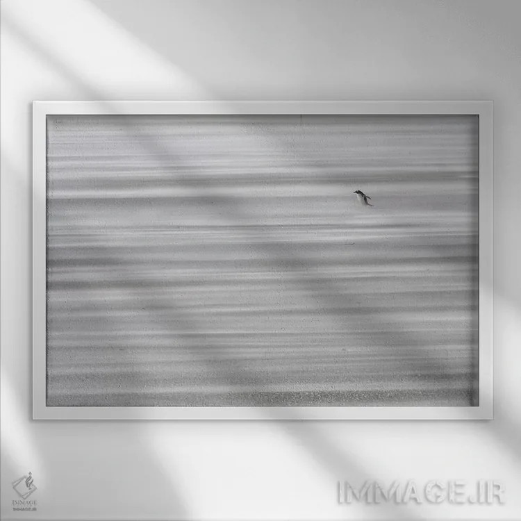 تابلو راه دور تا خانه اثر المر وایس - نمای قابدار سفید