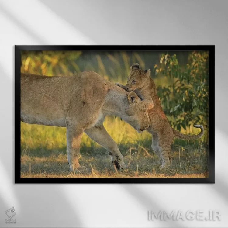 تابلو مامان بهترین است! اثر المر وایس - نمای قابدار مشکی