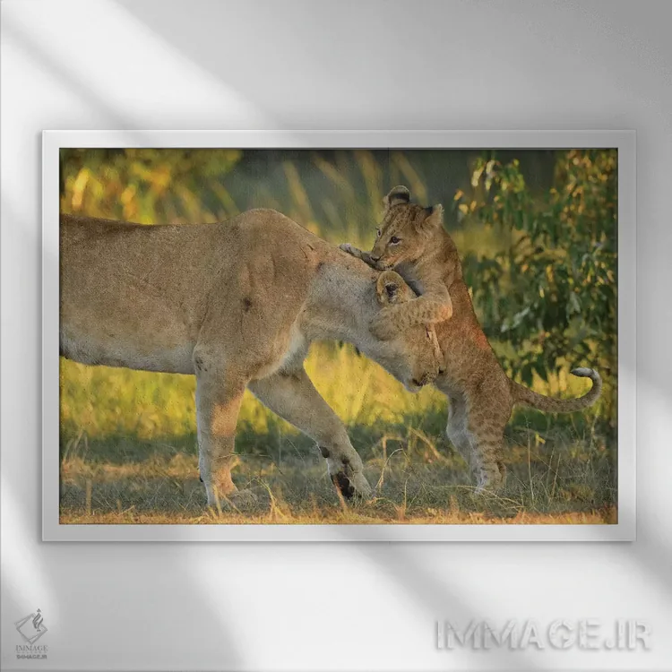 تابلو مامان بهترین است! اثر المر وایس - نمای قابدار سفید