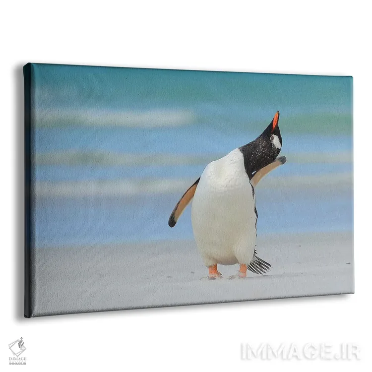 تابلو مدل برتر بعدی فالکلند (جزایر فالکلند) اثر المر وایس - نمای پرسپکتیو محصول