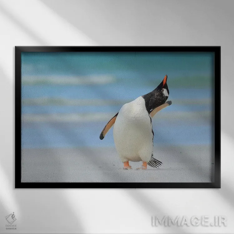 تابلو مدل برتر بعدی فالکلند (جزایر فالکلند) اثر المر وایس - نمای قابدار مشکی