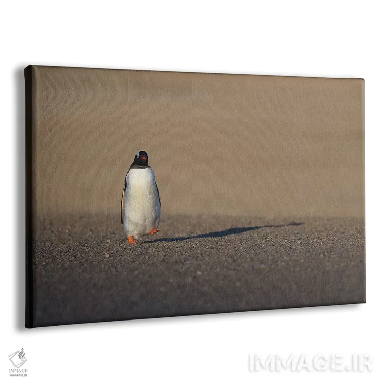 تابلو یک قدم کوچک ... اثر المر وایس - نمای پرسپکتیو محصول