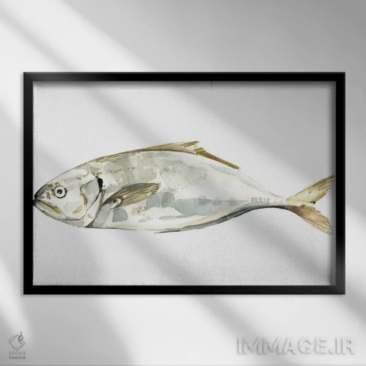 تابلو ماهی نقرهای ۴ اثر اما کارولین - نمای قابدار مشکی