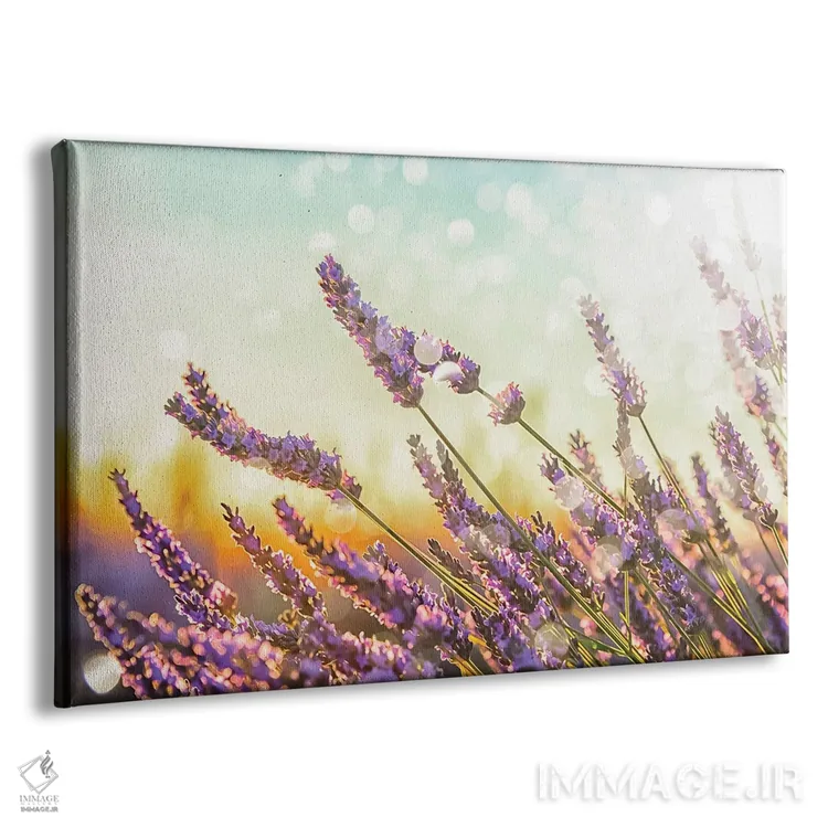 تابلو اسطوخودوس درخشان اثر مانجیک پیکچرز (استودیو عکاسی یا فیلمسازی) - نمای پرسپکتیو محصول