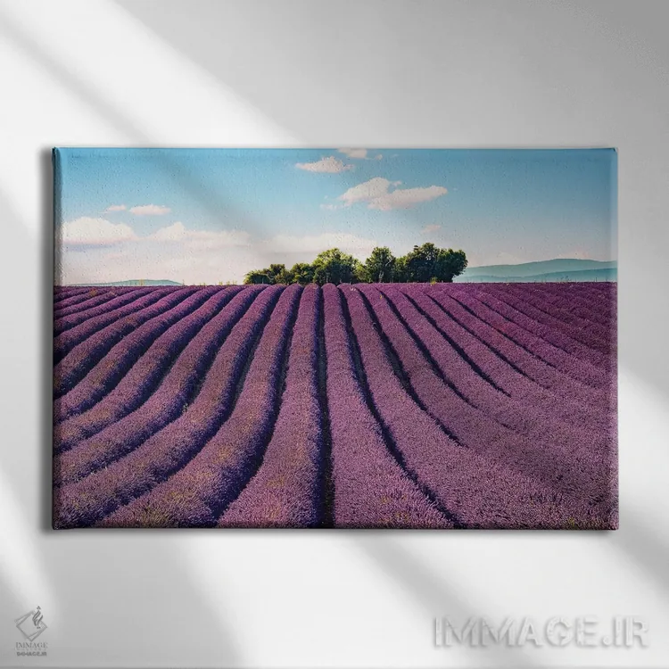 تابلو جنوب فرانسه اثر مانجیک پیکچرز (استودیو عکاسی یا فیلمسازی) - نمای روبهرو روی دیوار