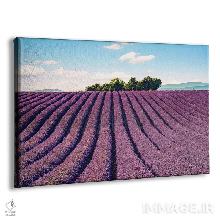 تابلو جنوب فرانسه اثر مانجیک پیکچرز (استودیو عکاسی یا فیلمسازی) - نمای پرسپکتیو محصول