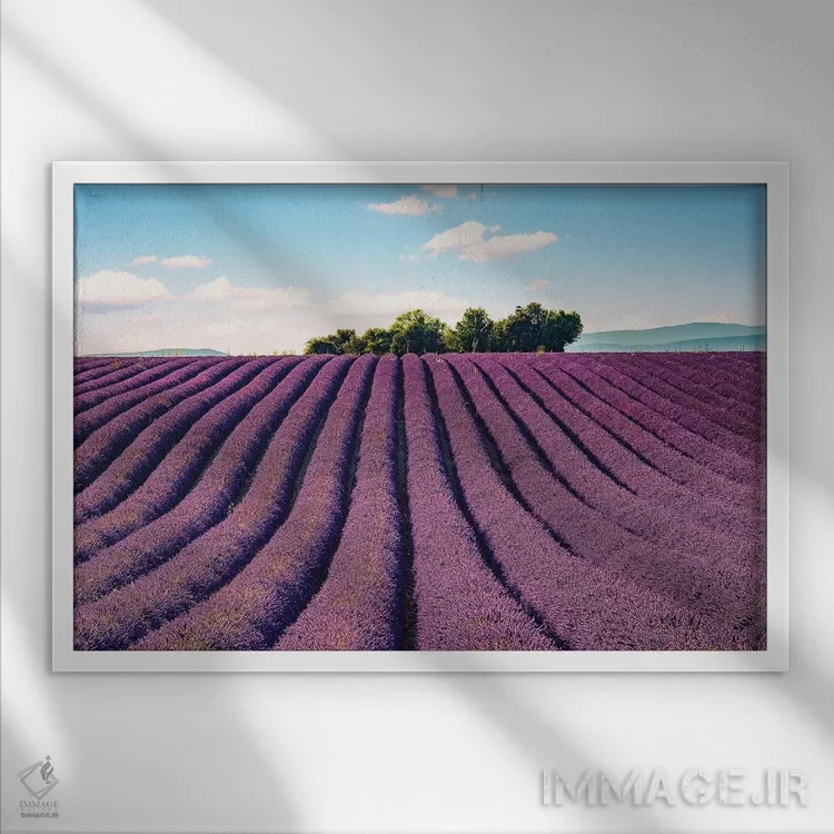 تابلو جنوب فرانسه اثر مانجیک پیکچرز (استودیو عکاسی یا فیلمسازی) - نمای قابدار سفید