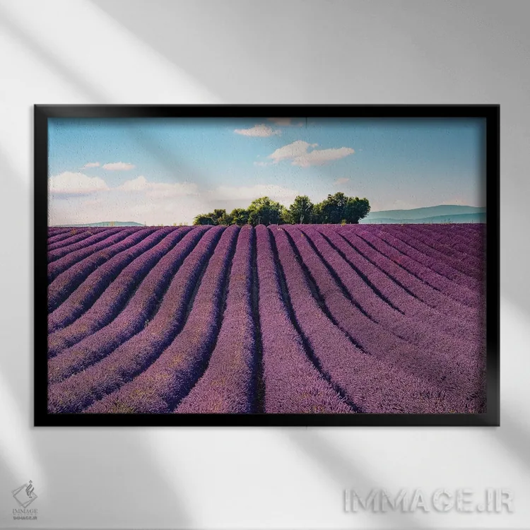 تابلو جنوب فرانسه اثر مانجیک پیکچرز (استودیو عکاسی یا فیلمسازی) - نمای قابدار مشکی